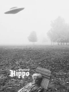  Hippo 