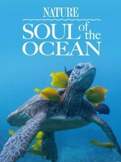  Душа океана 