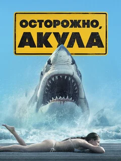  Shark Warning 
